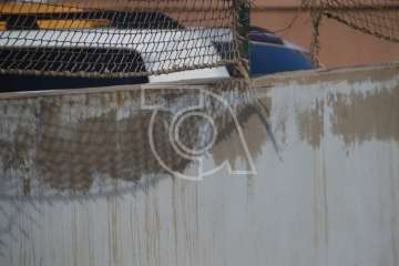 Estado de las canchas de Clavellinas (Foto 1-10), Caserones Altos (Foto 11-27) y Valle de los Nueve Bajo (Foto 28-32)